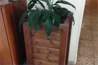 ����� ��� 6