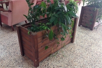 ����� ��� 7