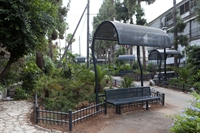 ������ ��� ���� ���